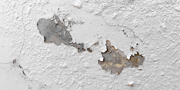 Pintar Fachadas de Naves Industriales, Fábricas y Almacenes Zaragoza · Pintura Antihumedad / Antimoho para Humedades / Moho